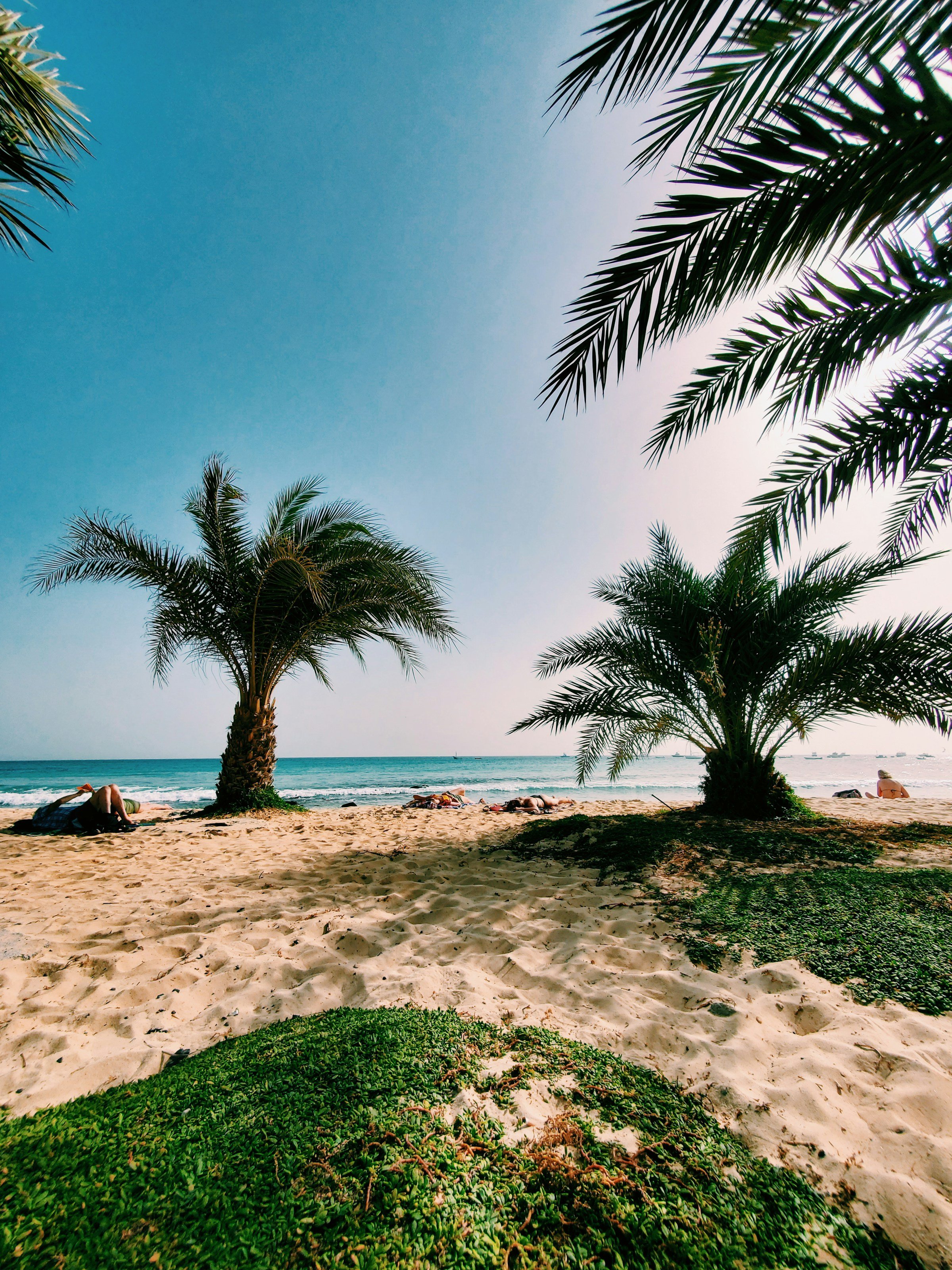 Above view of beach meeting the sea with waves in Cape Verde