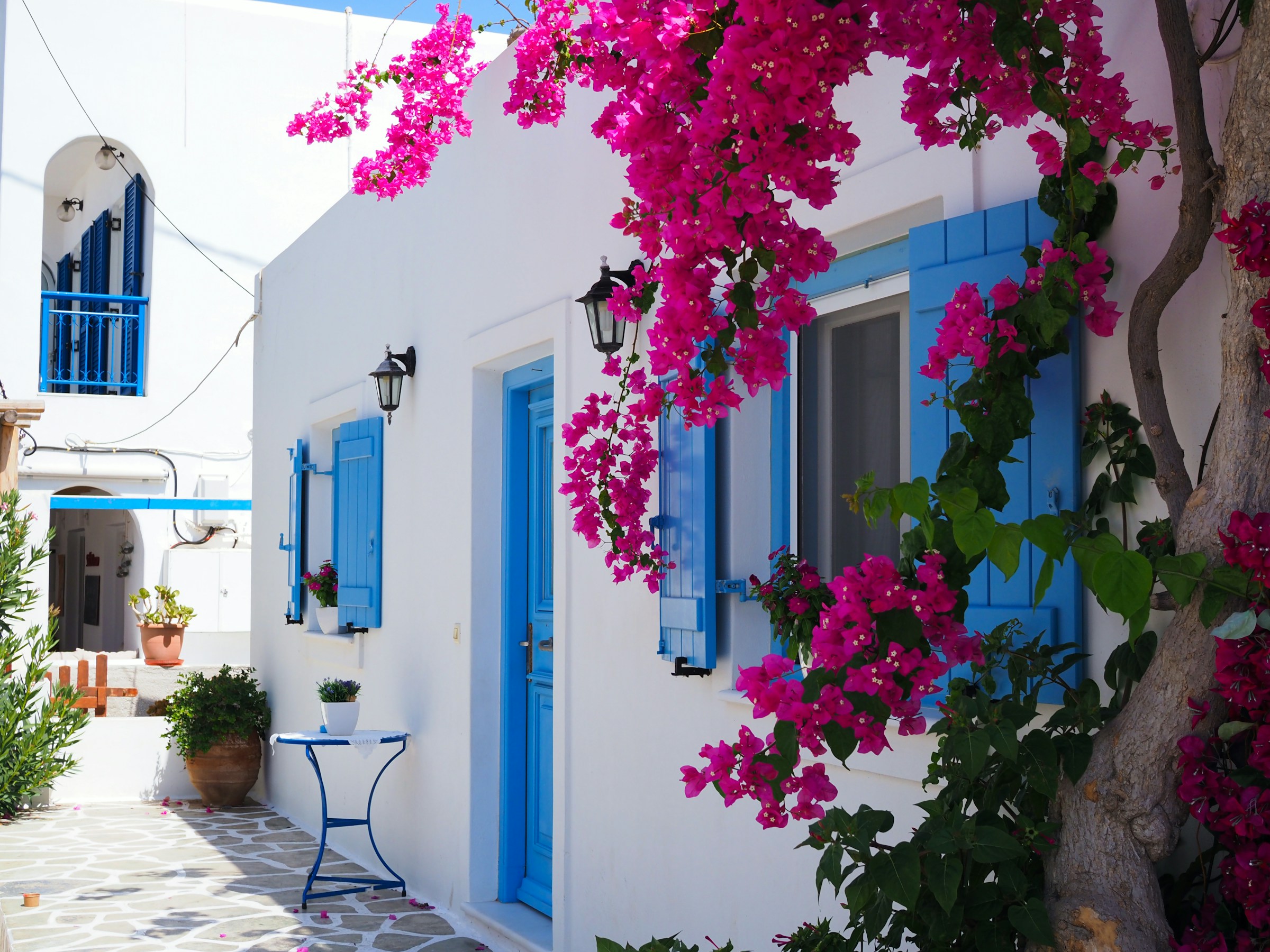 Gata med vit byggnad och rosa blommor i Mykonos stad