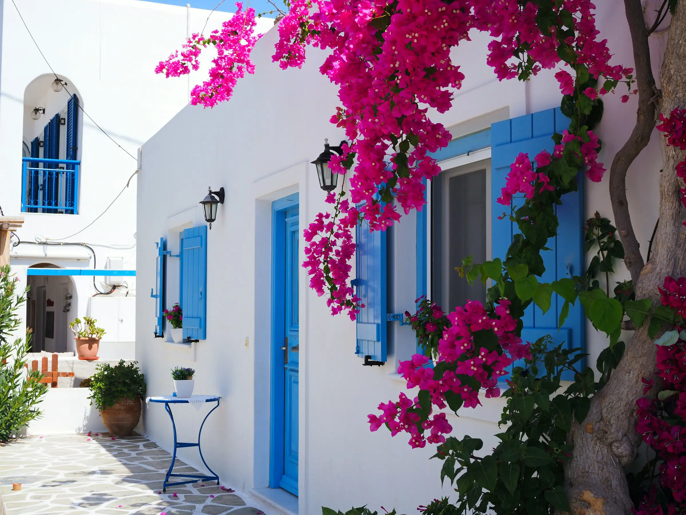 Gata med vit byggnad och rosa blommor i Mykonos stad