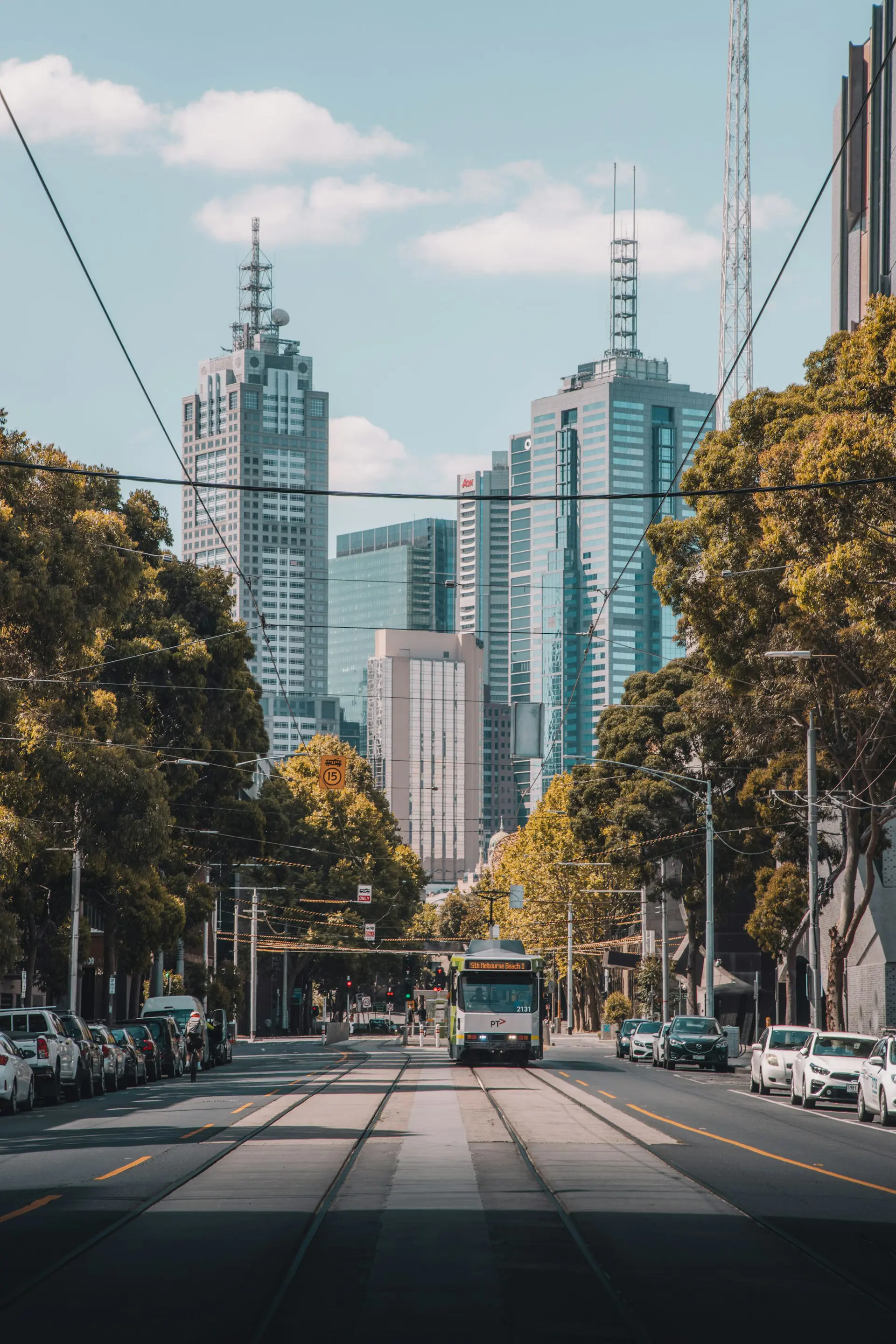 Raitiovaunu kulkee pitkin puiden reunustamaa katua Melbournen keskustassa, taustalla korkeita pilvenpiirtäjiä