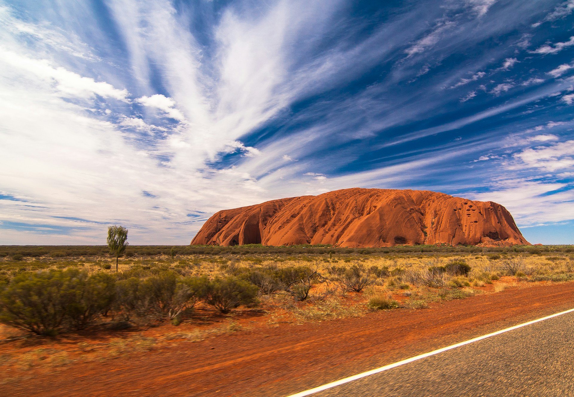 Punainen Uluru-kallio Australian aavikolla kirkkaan sinisen taivaan alla, etualalla karu kasvipeite