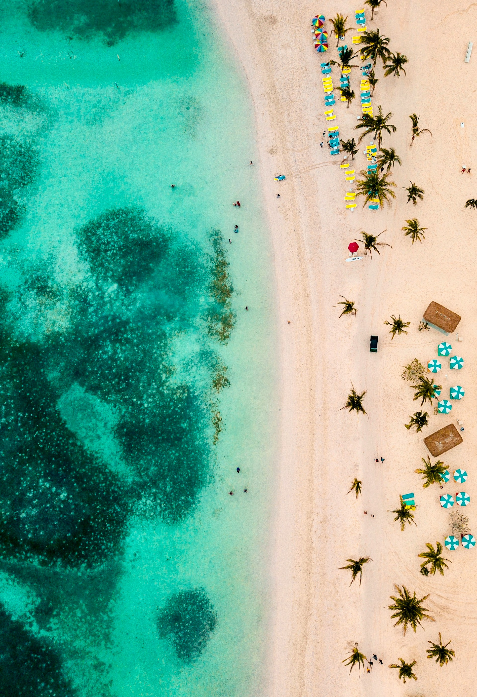 Aerial view of a tropical beach with turquoise water and white sand. Palm trees and colorful beach chairs are spread along the shore, creating an inviting vacation atmosphere.