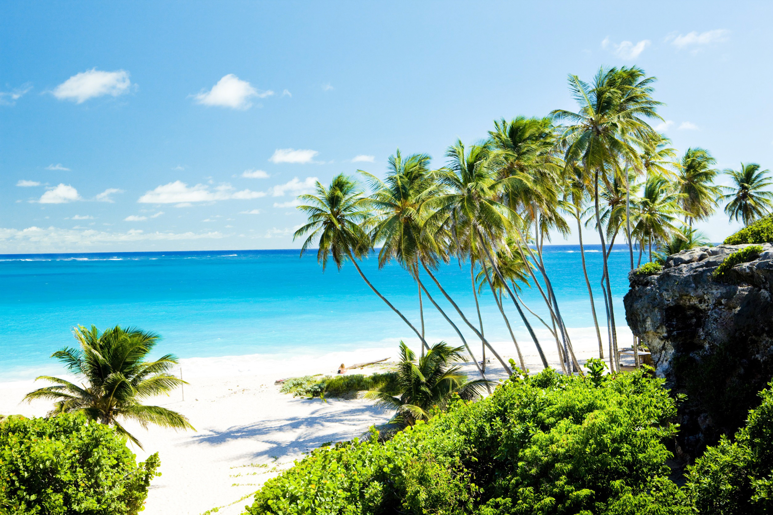 Travel to Barbados - Tropical beach with palm trees and clear blue ocean under a bright sky.