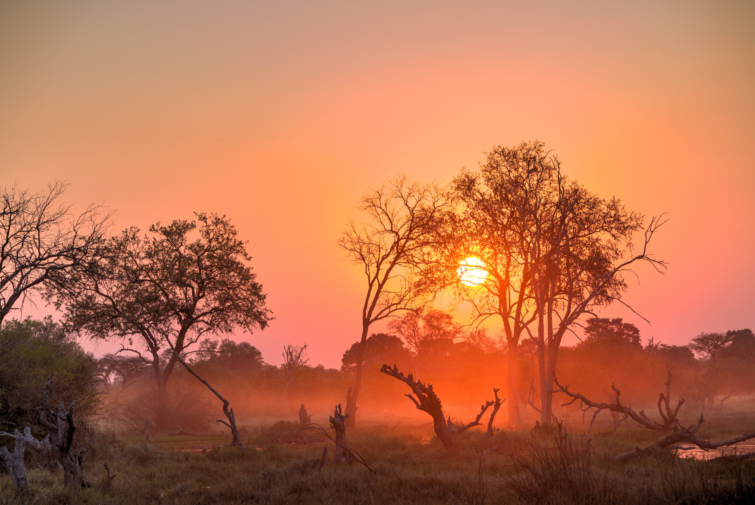 Travel to Botswana - Sunset over a serene African savanna landscape with silhouetted trees and a warm, colorful sky.