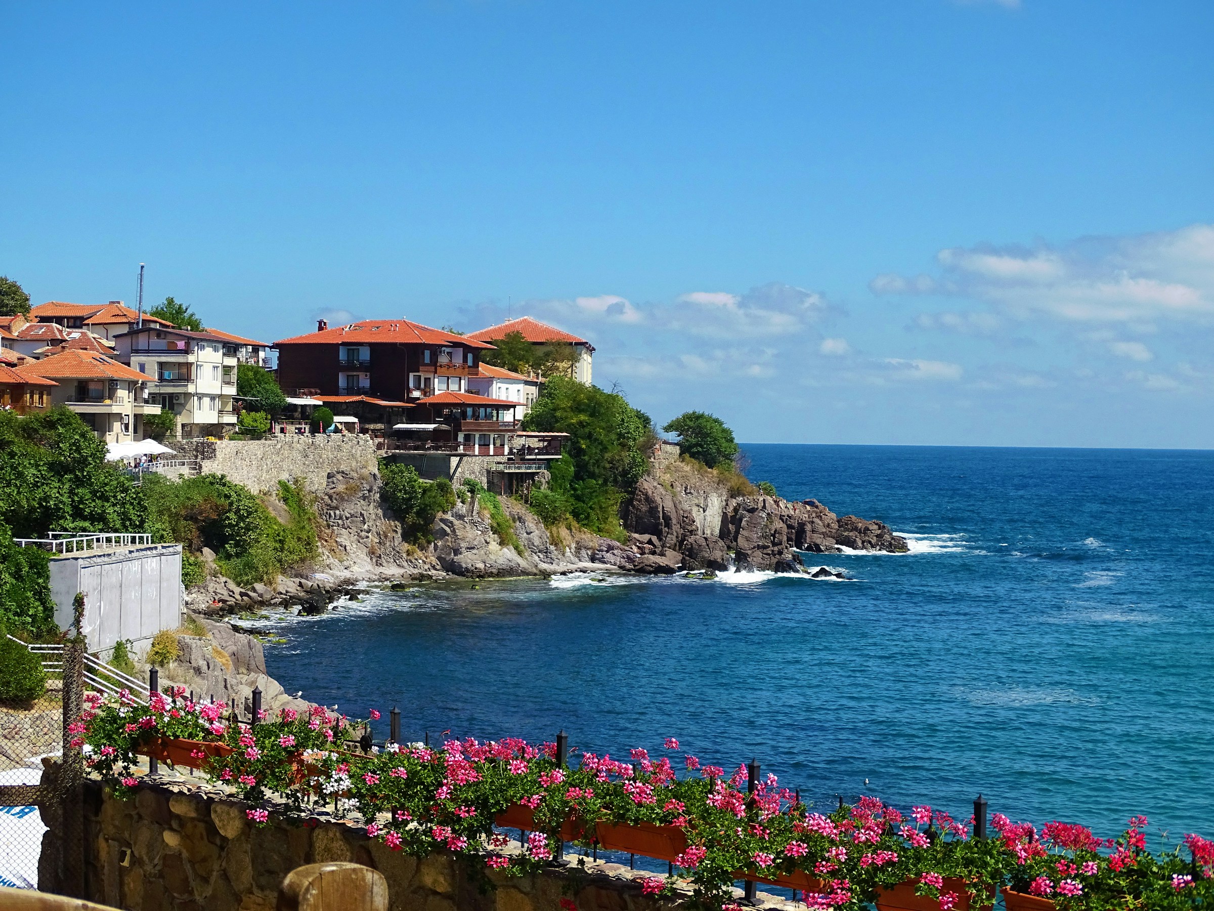 Coastal village with red-roofed houses on a rocky shoreline overlooking the blue ocean under a clear sky, featuring pink flowers in the foreground.