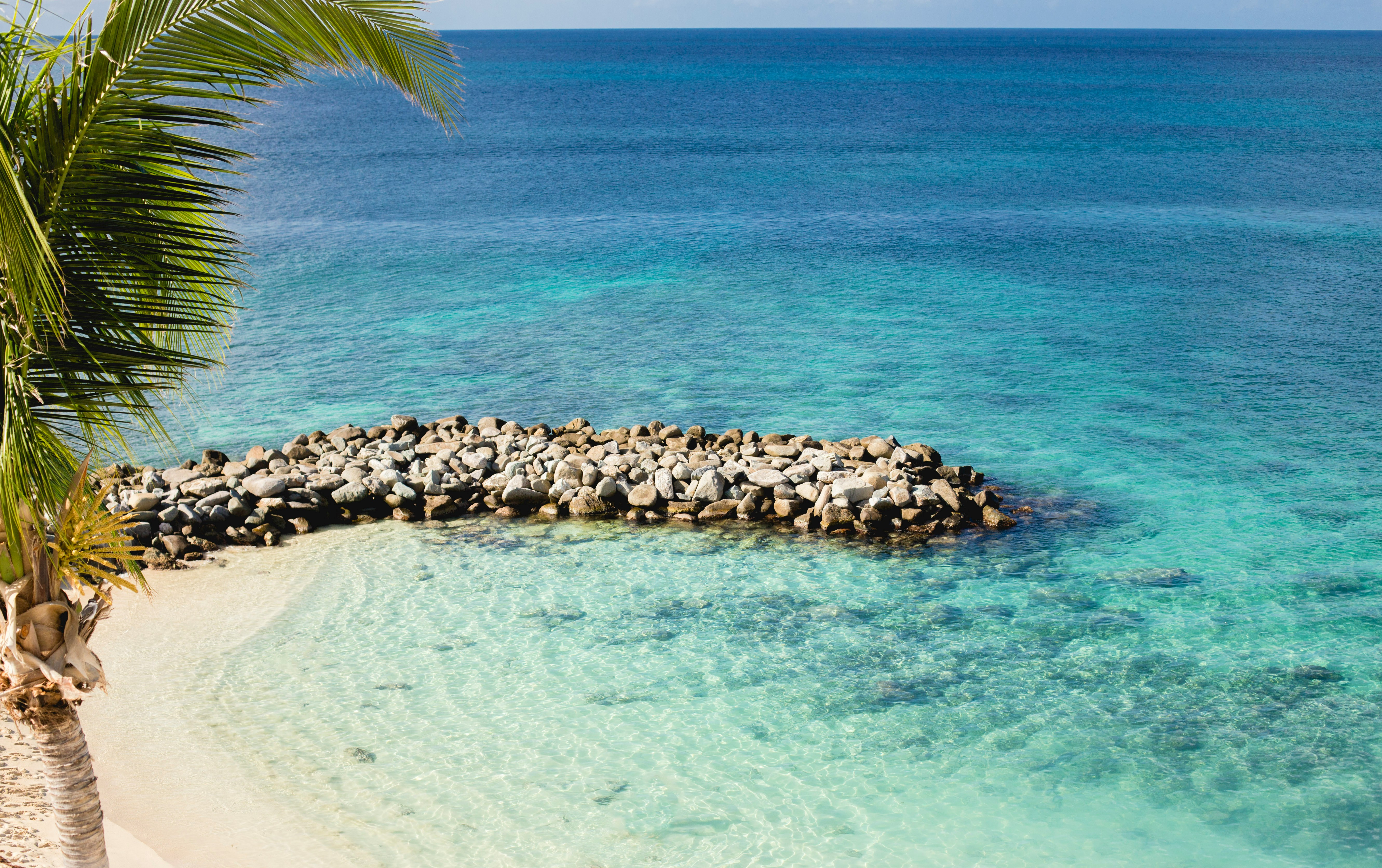 Trooppinen ranta, jossa vaaleaa hiekkaa, palmupuu ja kivimuuri turkoosin meren äärellä