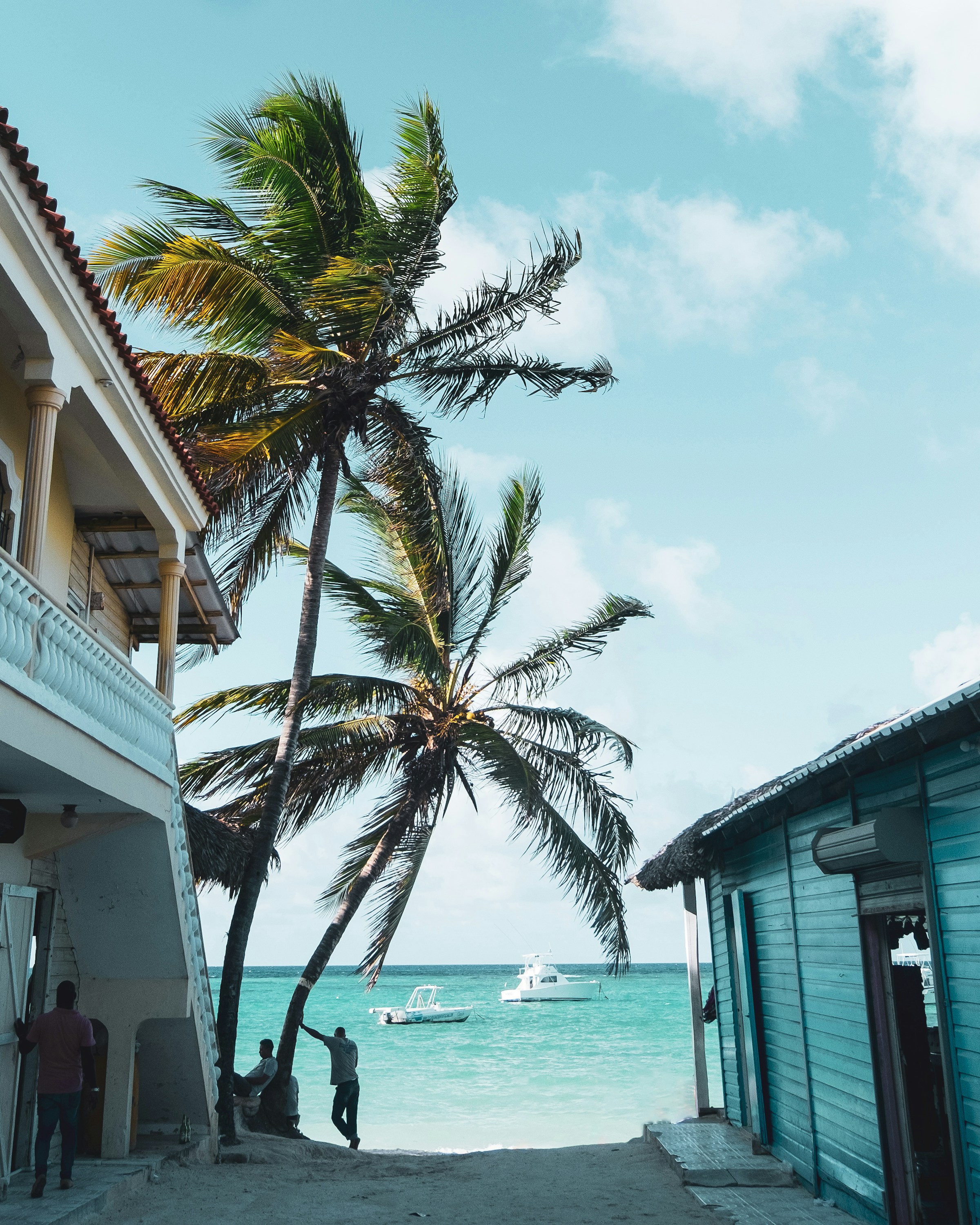 Tropical beach scene with tall palm trees between colorful buildings, overlooking the turquoise ocean and boats under a clear blue sky.