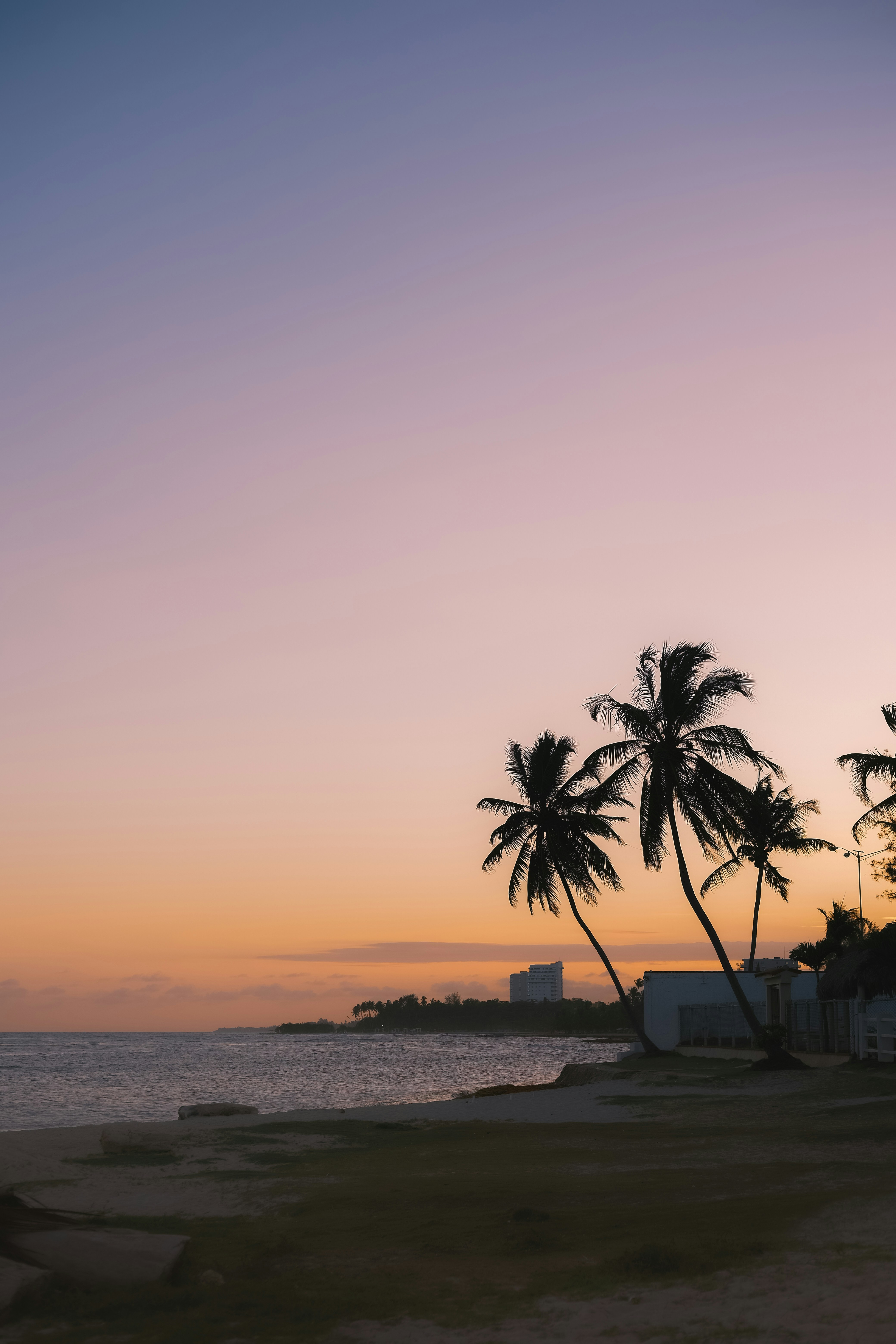 Solnedgång vid stranden med palmer i silhuett, rosa och lila himmel, havet i bakgrunden