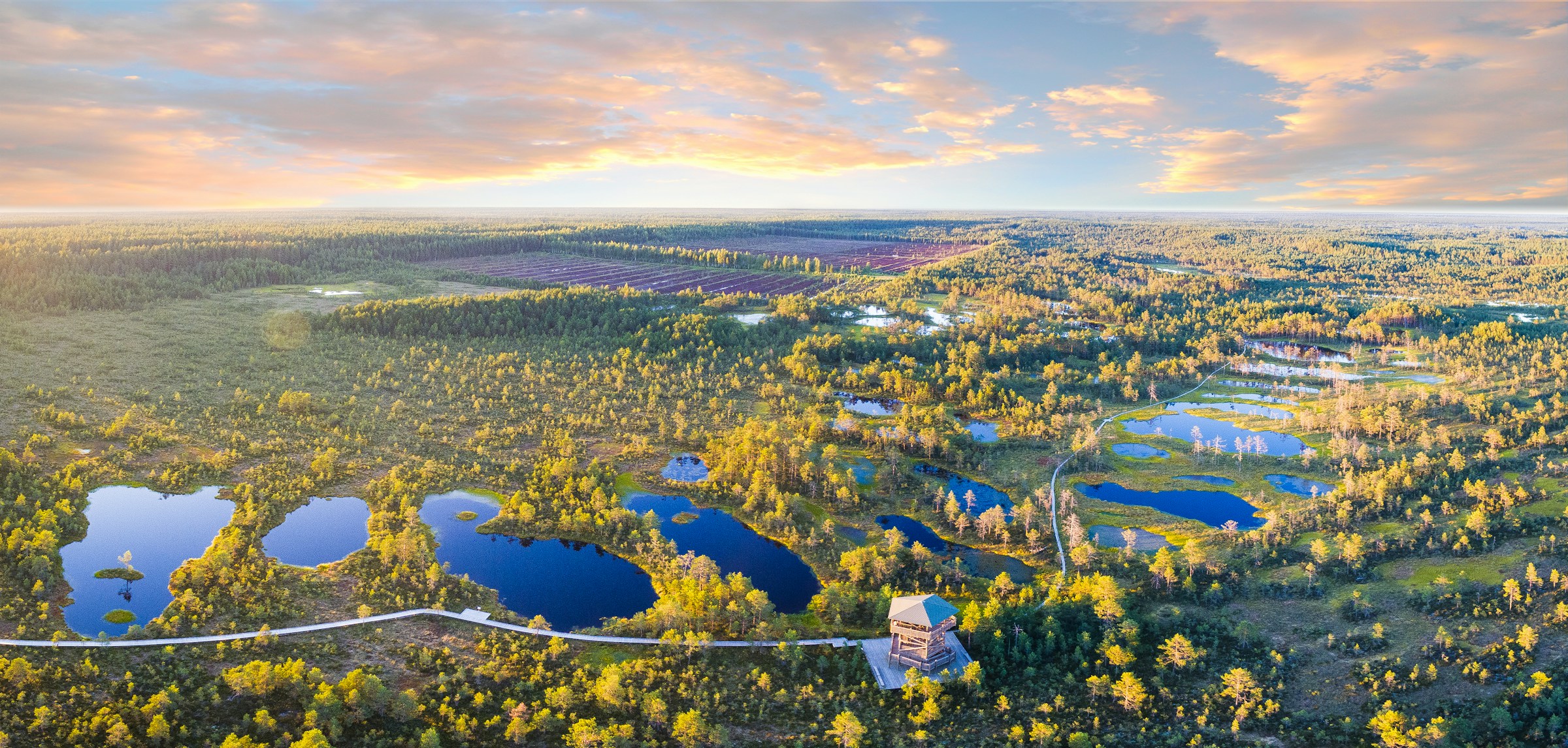 Aerial view of a lush green wetland landscape at sunset, featuring several blue water ponds, a wooden boardwalk, and a viewing tower surrounded by dense forest.