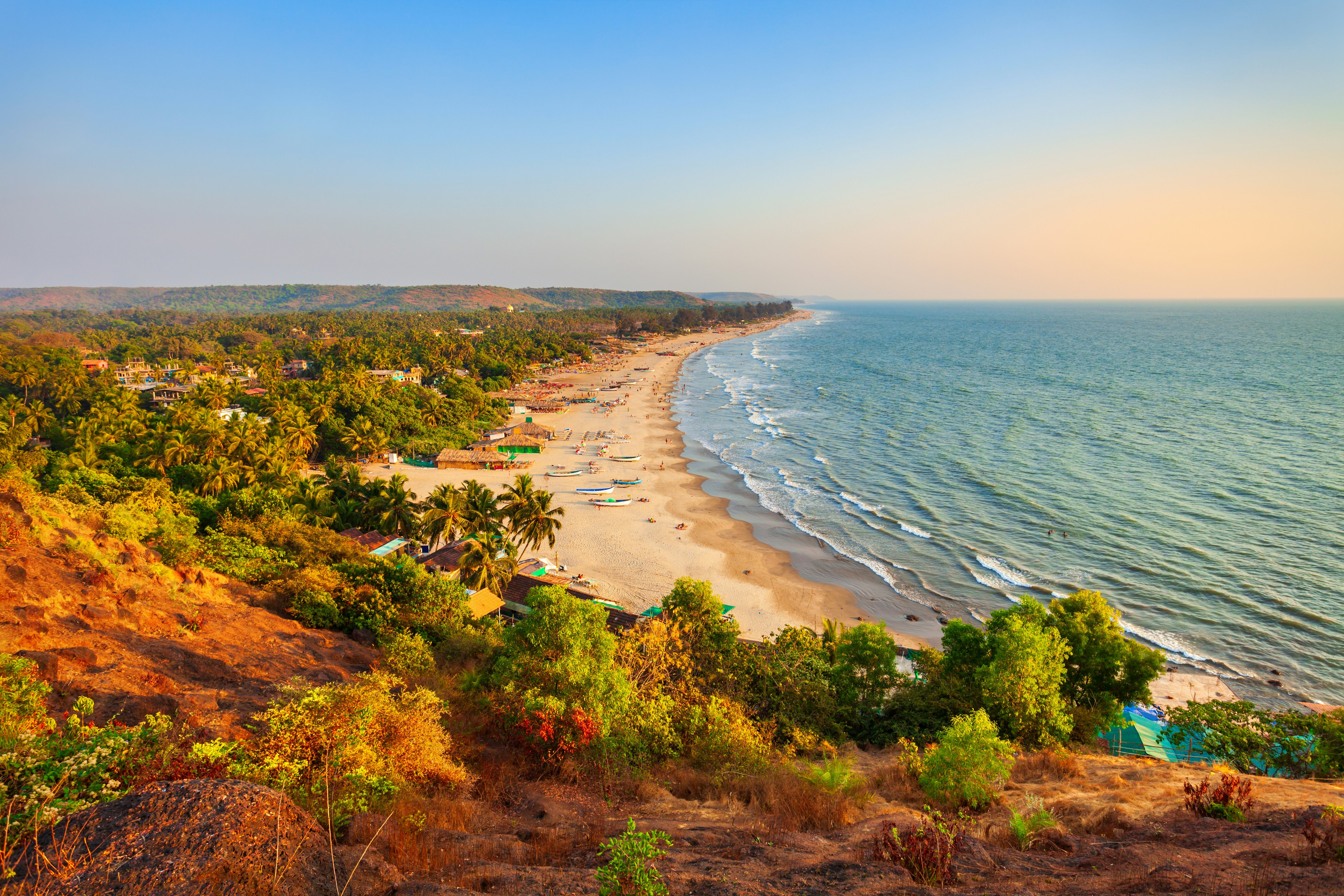 Travel to Goa - Scenic view of a tropical beach with palm trees and gentle waves, coastline stretching into the distance under a clear sky.