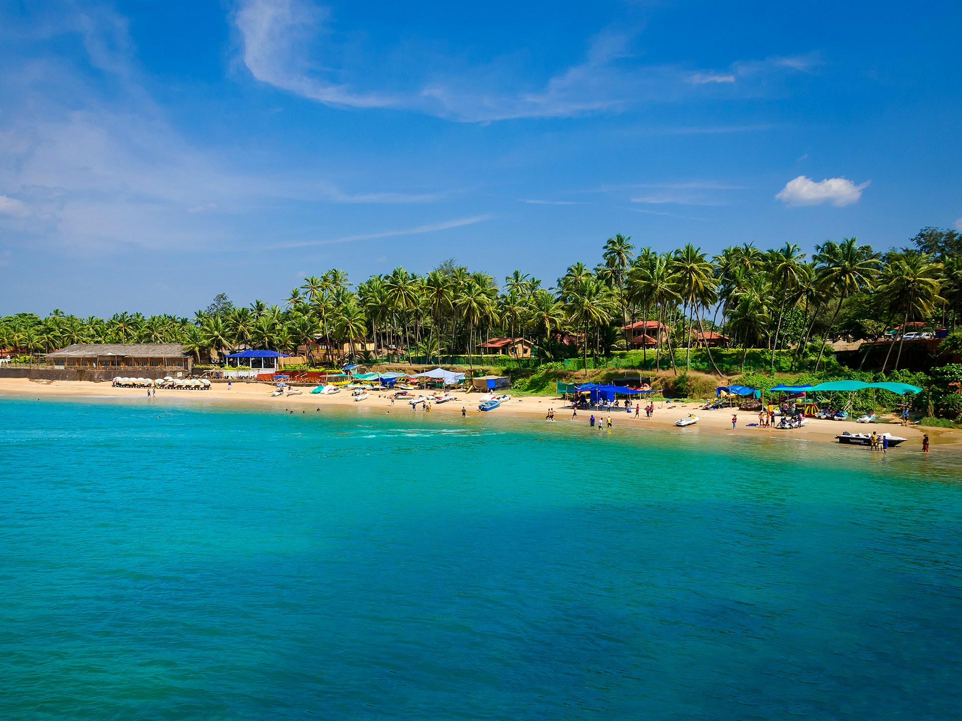 Tropical beach with palm trees, vibrant blue ocean, and people enjoying the sandy shore on a sunny day.