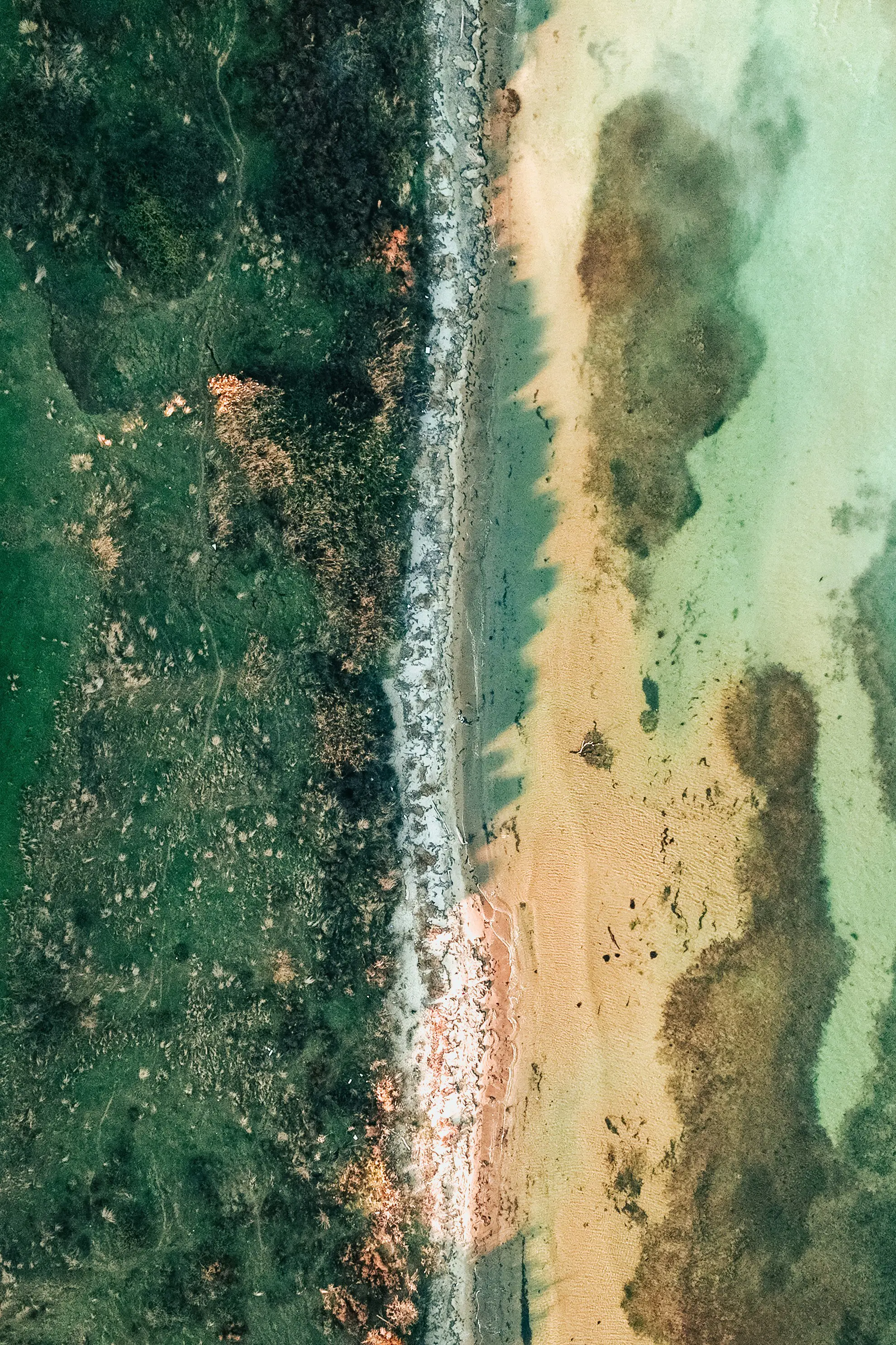 Flygfoto av en kustlinje med grönska på ena sidan och sandstrand på den andra