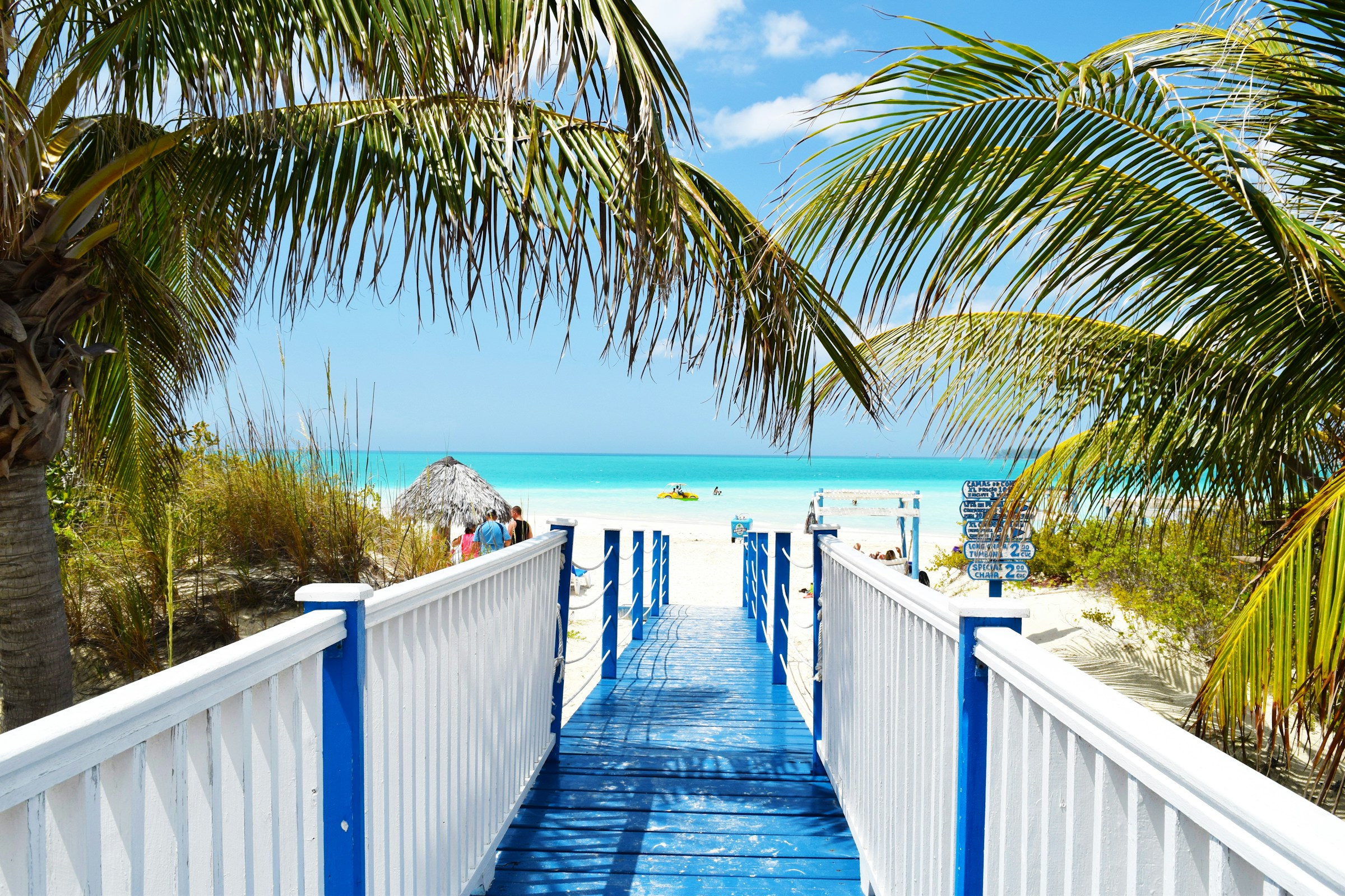 Pathway leading to a tropical beach with white sand and turquoise water, framed by palm trees under a bright blue sky
