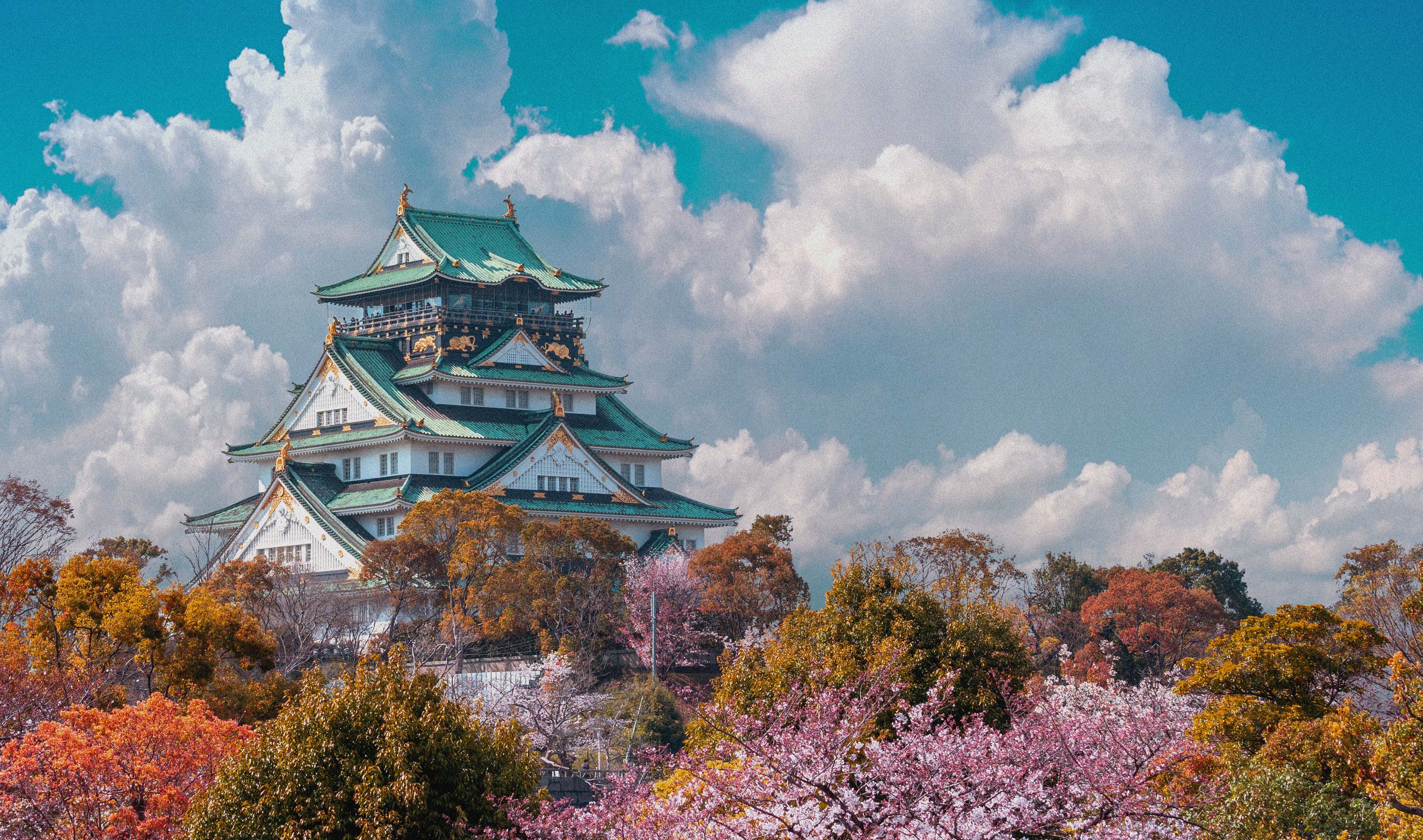 Japanese castle with traditional architecture, surrounded by cherry trees in bloom under a clear sky.