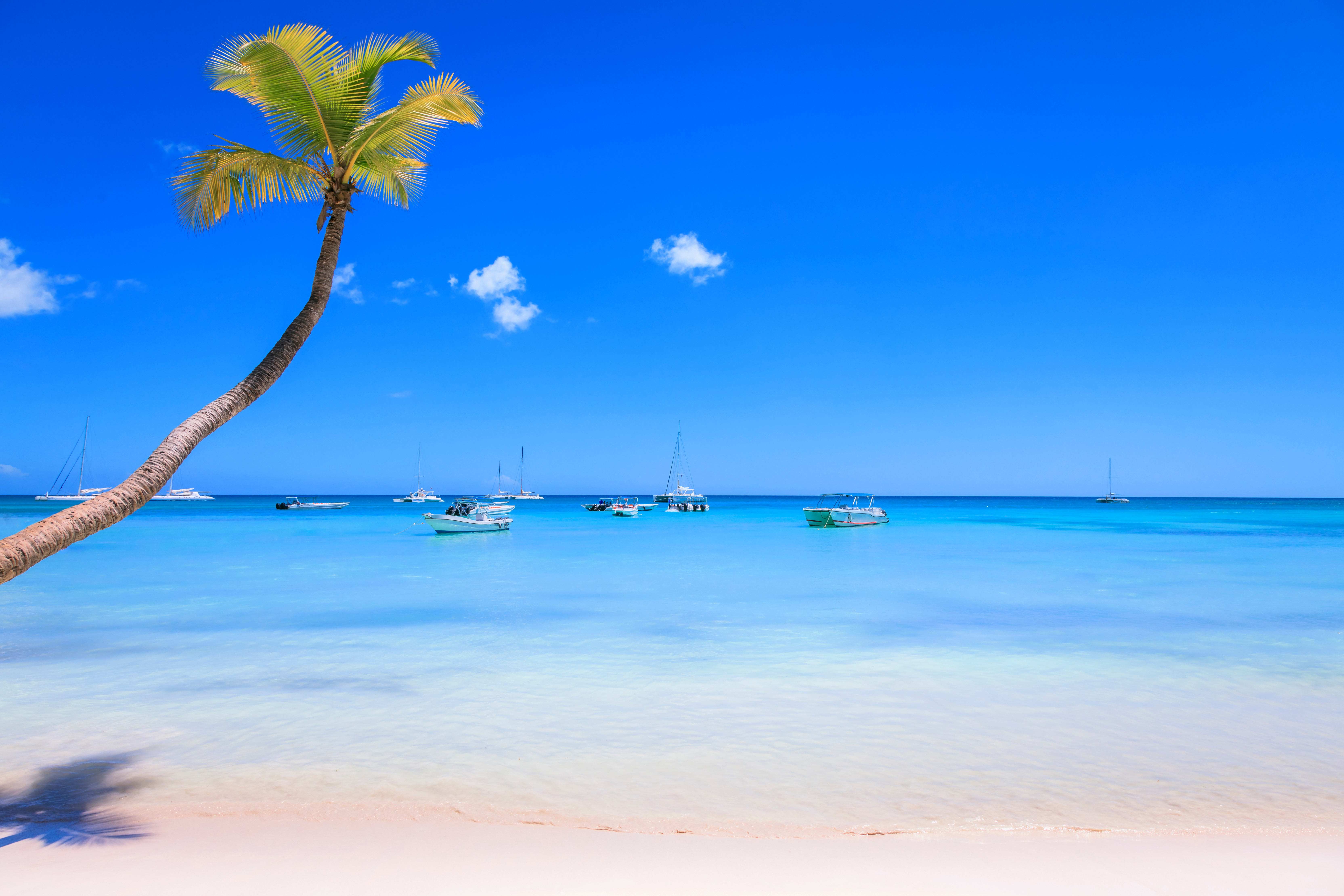 Tropisk strand med en palm och båtar på den lugna, klarblå oceanen under en klarblå himmel