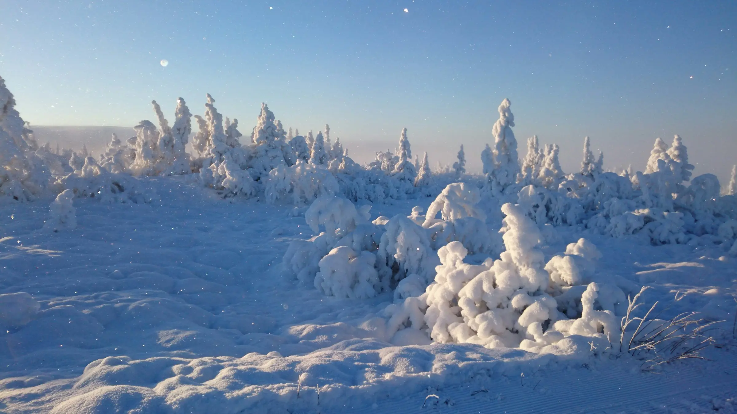 Raskasta lunta luontoa ja puita Sälenissä aikaisen auringonnousun aikana