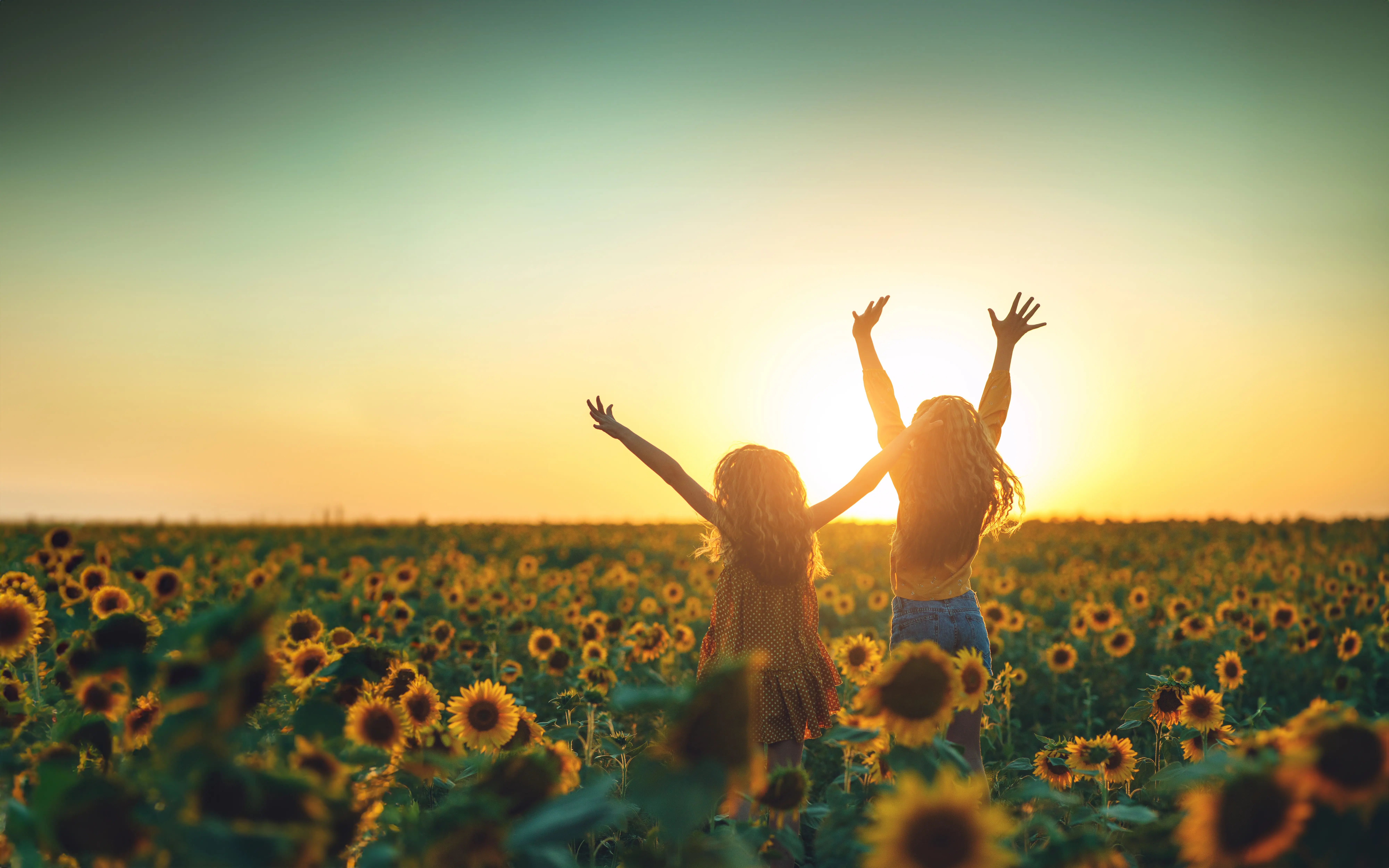Two people enjoying the sunset in a sunflower field.